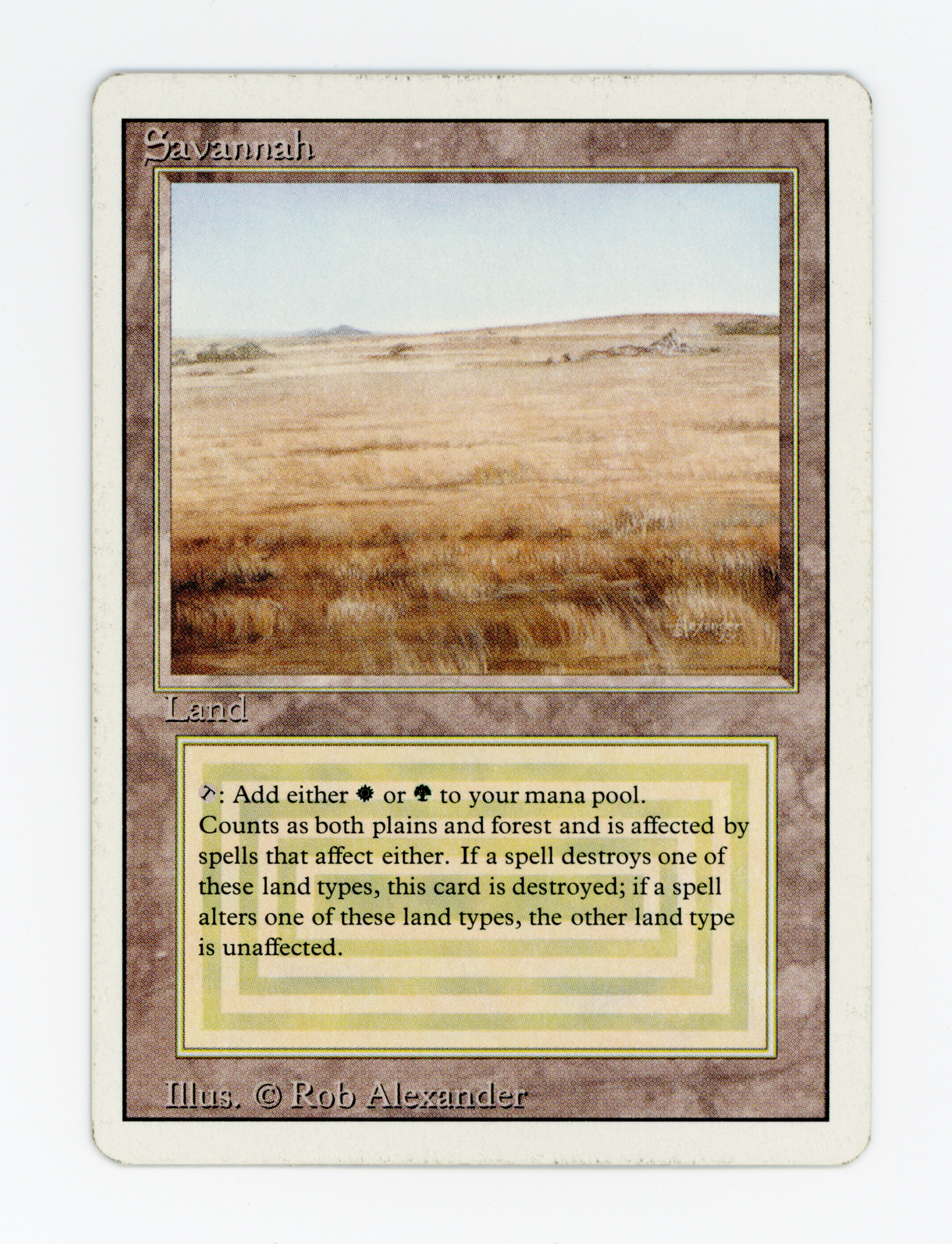 SIN-SCAN-16732