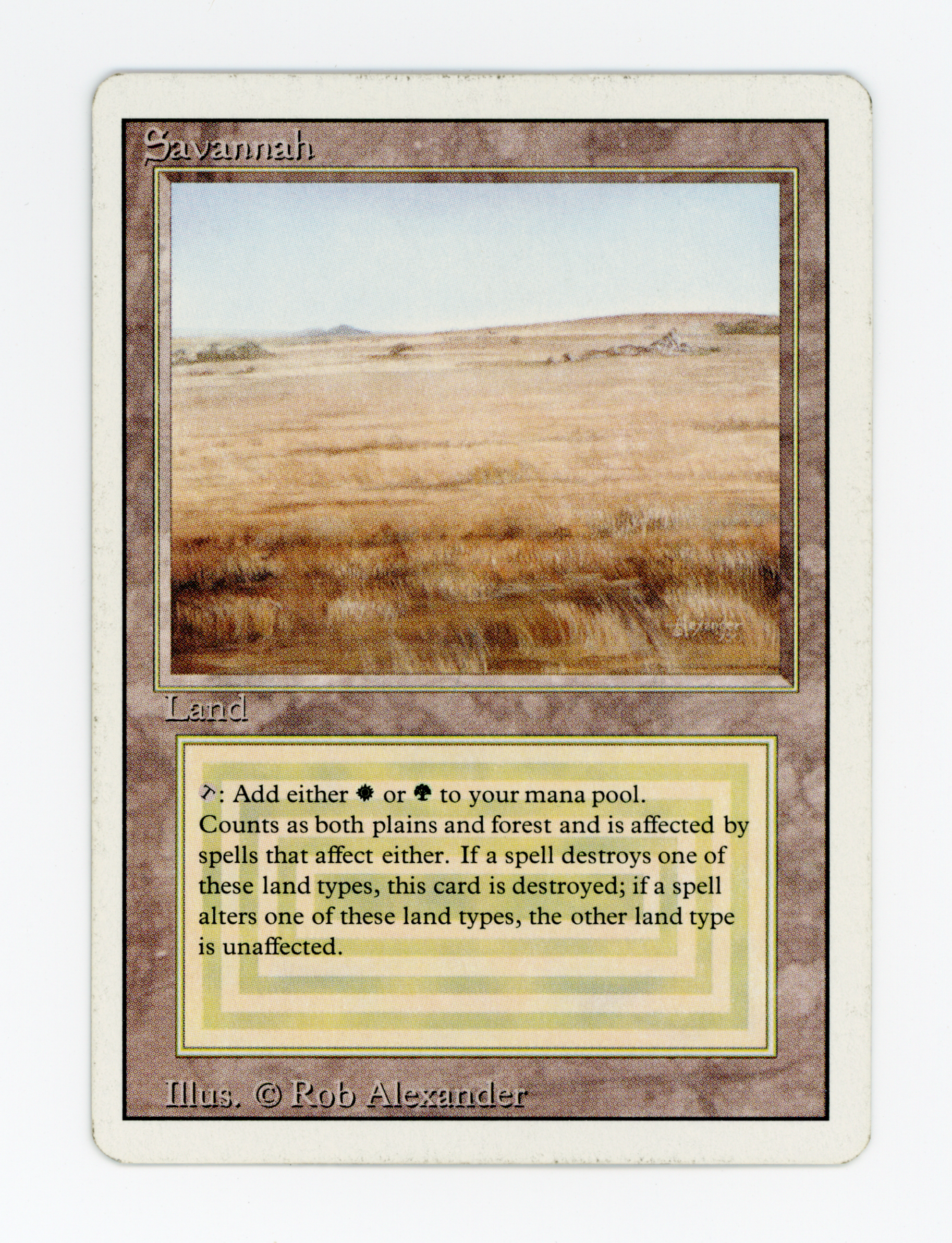SIN-SCAN-16732