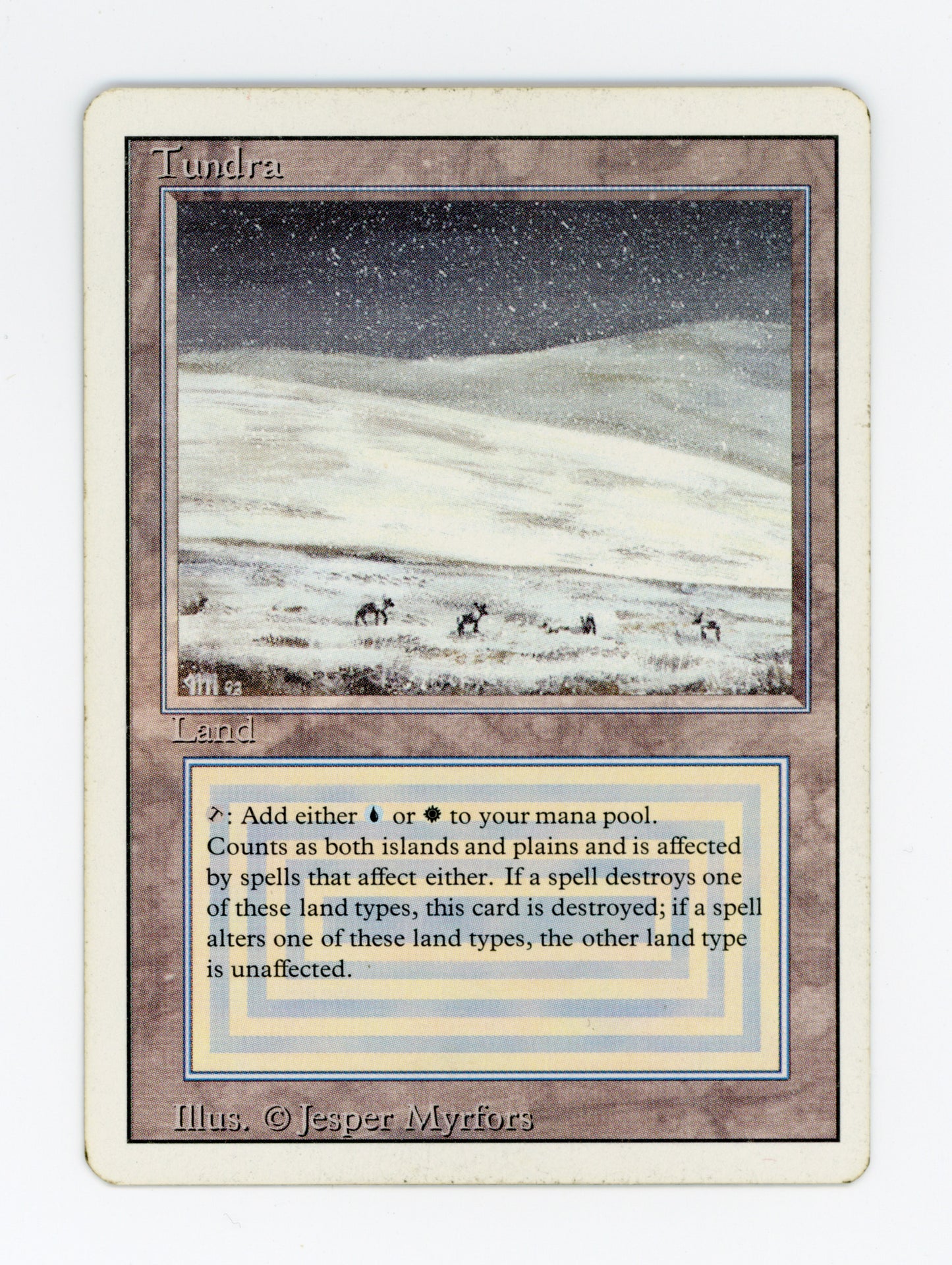 Tundra — ID 19562