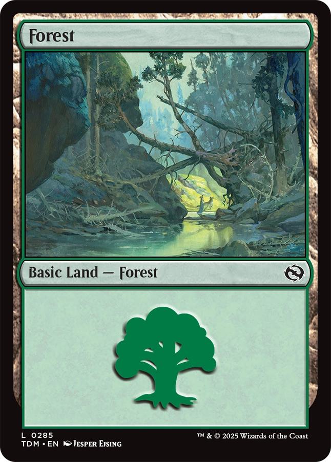 Forest [285] [Tarkir: Dragonstorm] [Non-Foil]