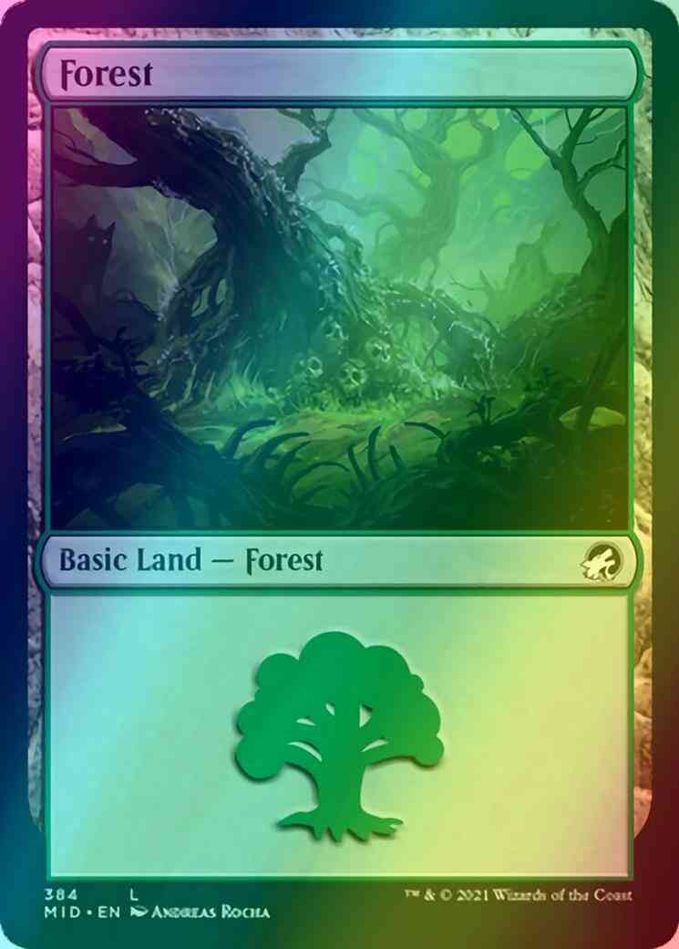Forest [384] [Innistrad: Midnight Hunt] [Foil]