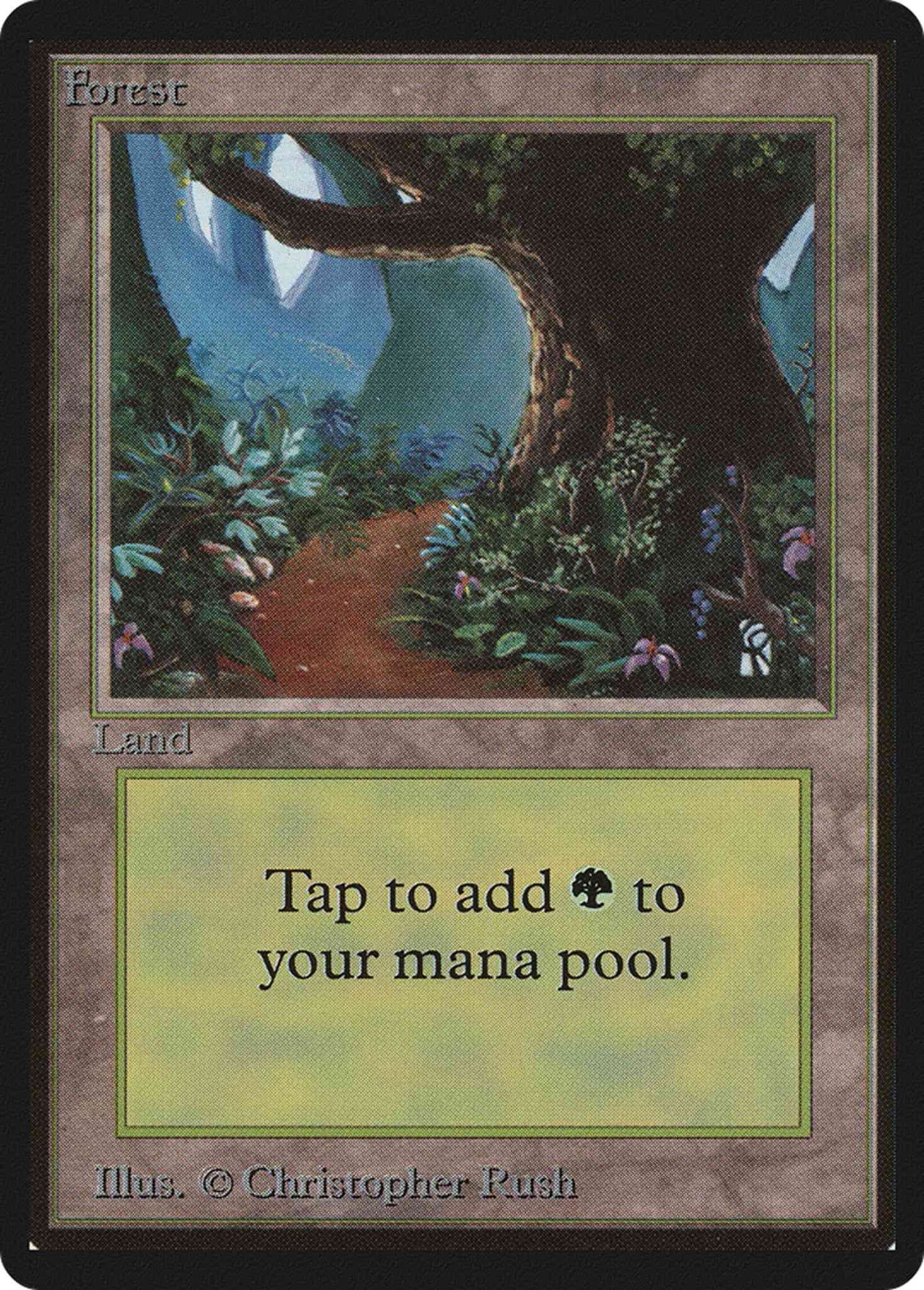 Forest [Path] [301] [Limited Edition Beta] [Non-Foil]