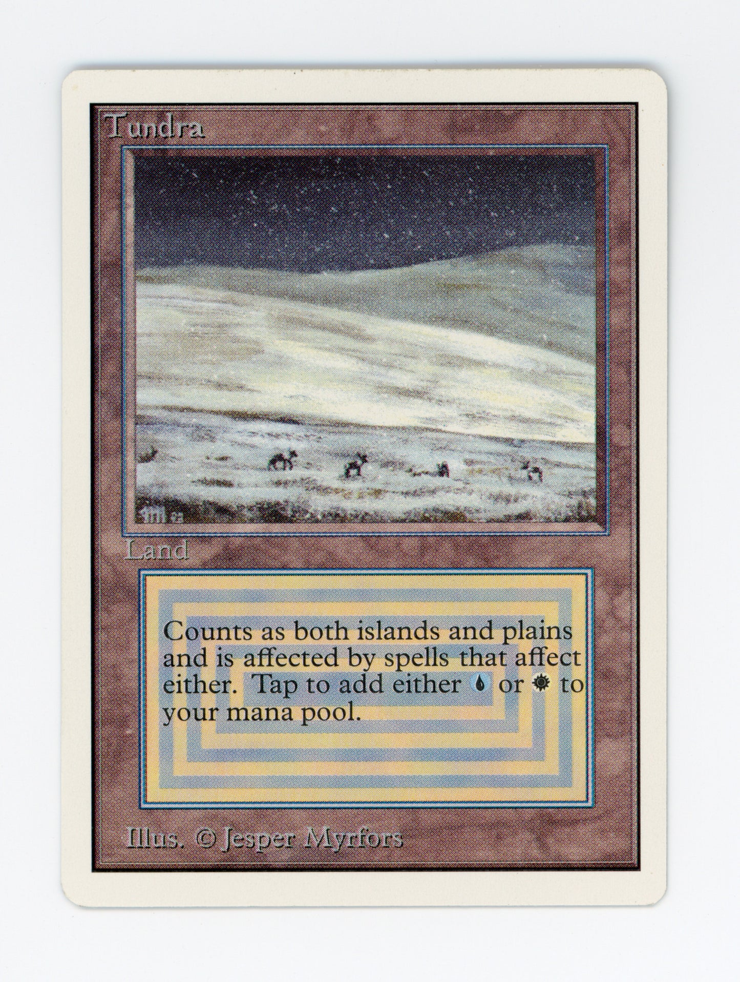 Tundra — ID 19655