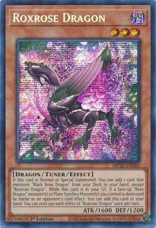 Roxrose Dragon - MP22-EN060 - Prismatic Secret Rare - 1st Edition