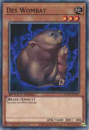 Des Wombat - SGX2-ENE03 - Common - 1st Edition