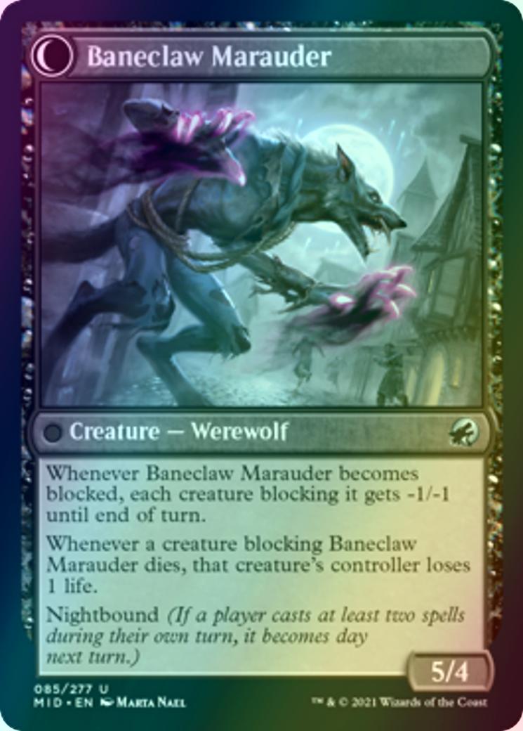 Baneblade Scoundrel // Baneclaw Marauder [85] [Innistrad: Midnight Hunt] [Foil]
