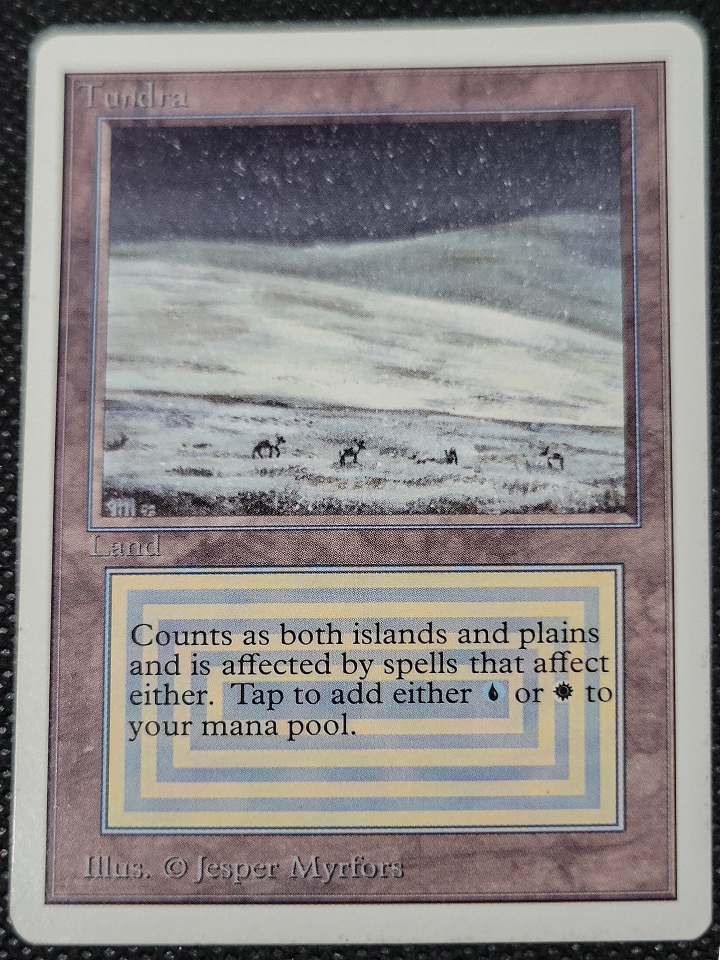 Tundra — ID 16976