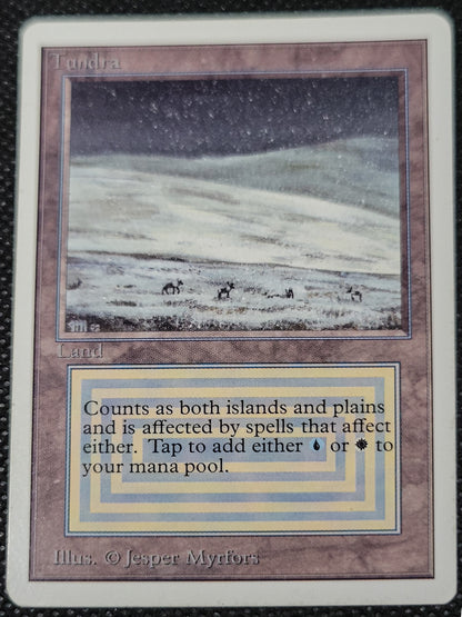 Tundra — ID 16976