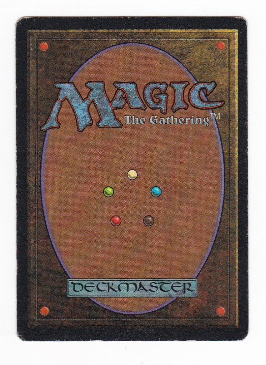 SIN-SCAN-13134