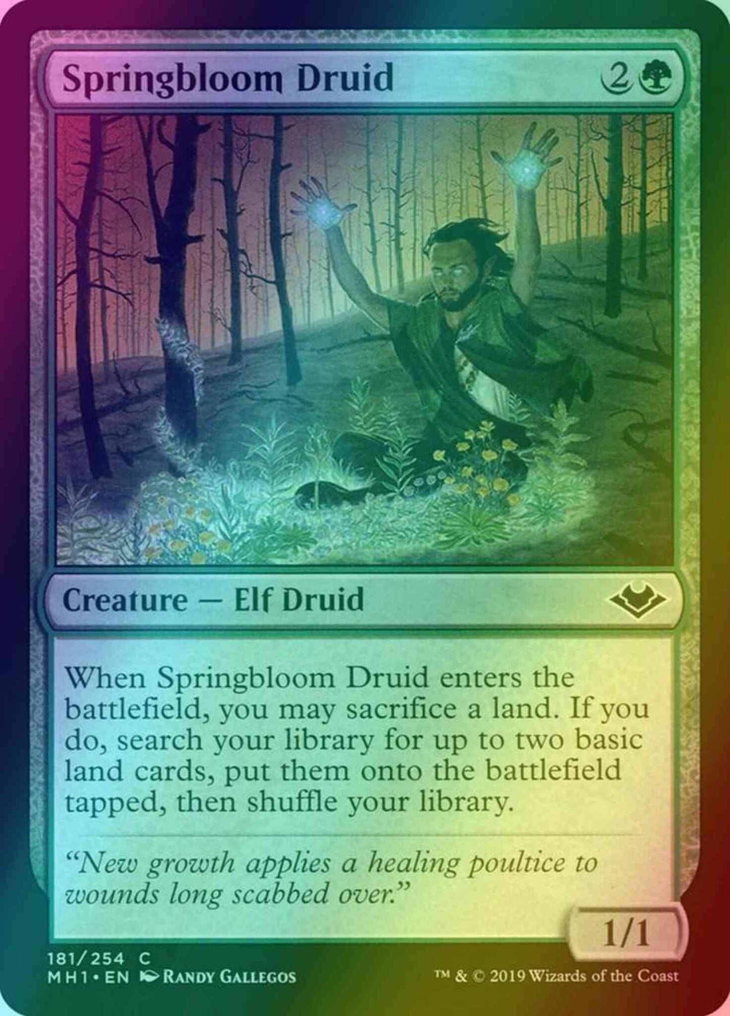 Springbloom Druid [181] [Modern Horizons] [Foil]