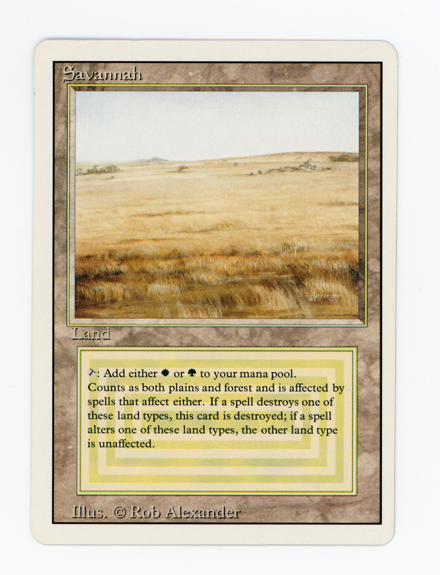 SIN-SCAN-16729