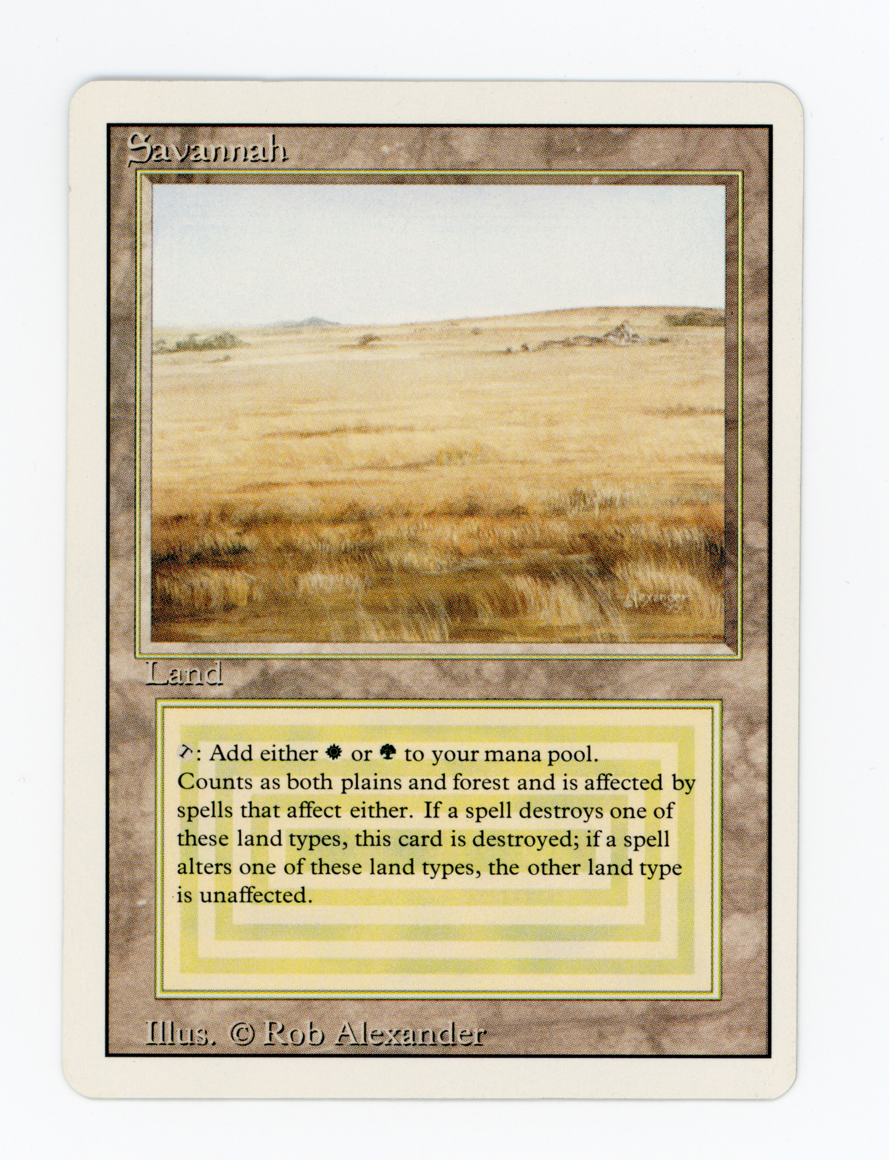 SIN-SCAN-16729
