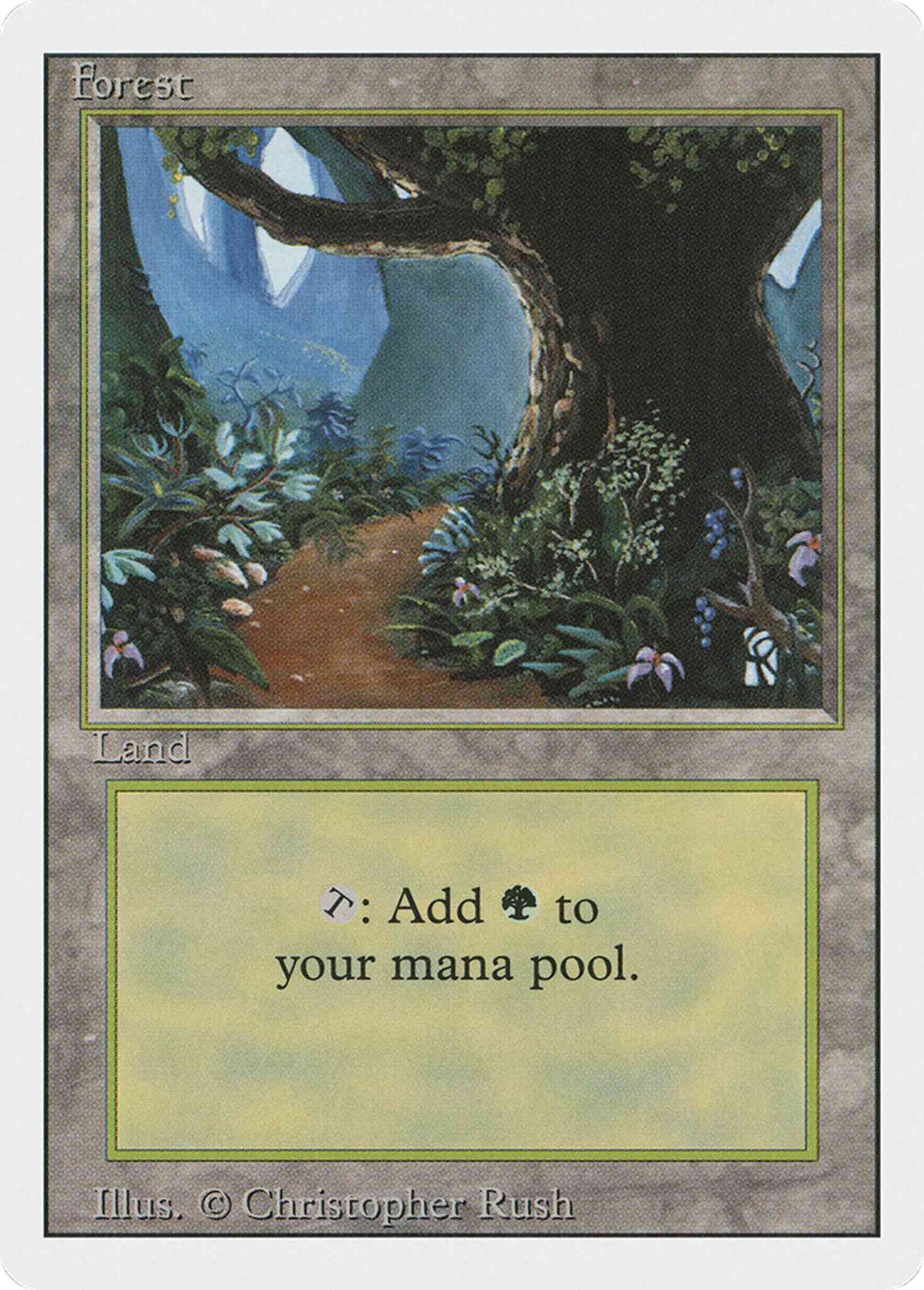 Forest [Path] [305] [Revised Edition] [Non-Foil]