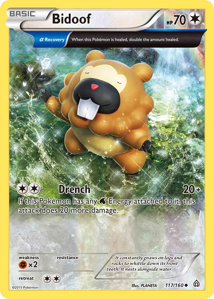 Bidoof - 117/160 - Uncommon [xy5-117] [Reverse Holo]
