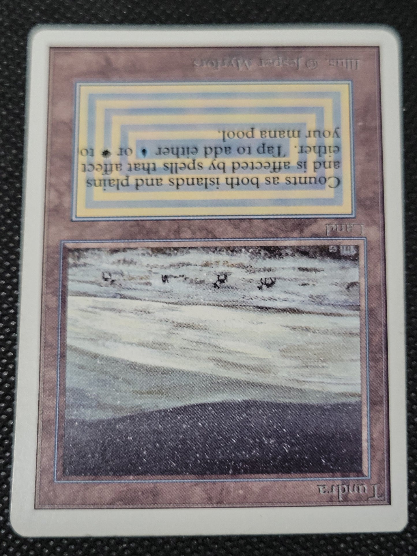 Tundra — ID 16975