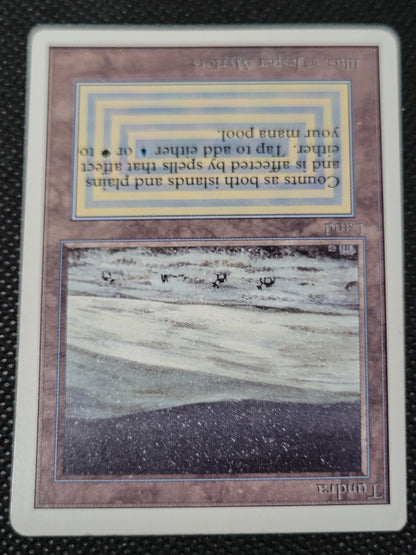 Tundra — ID 16975