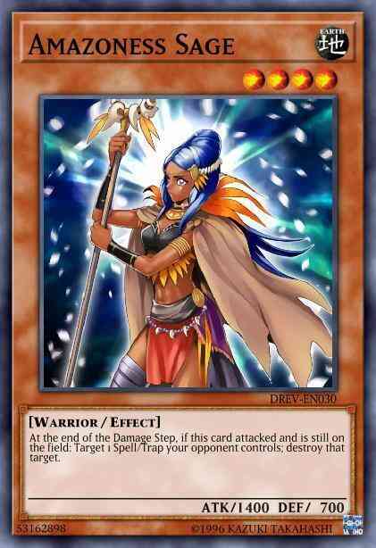 Amazoness Sage - DREV-EN030 - Common - 1st Edition