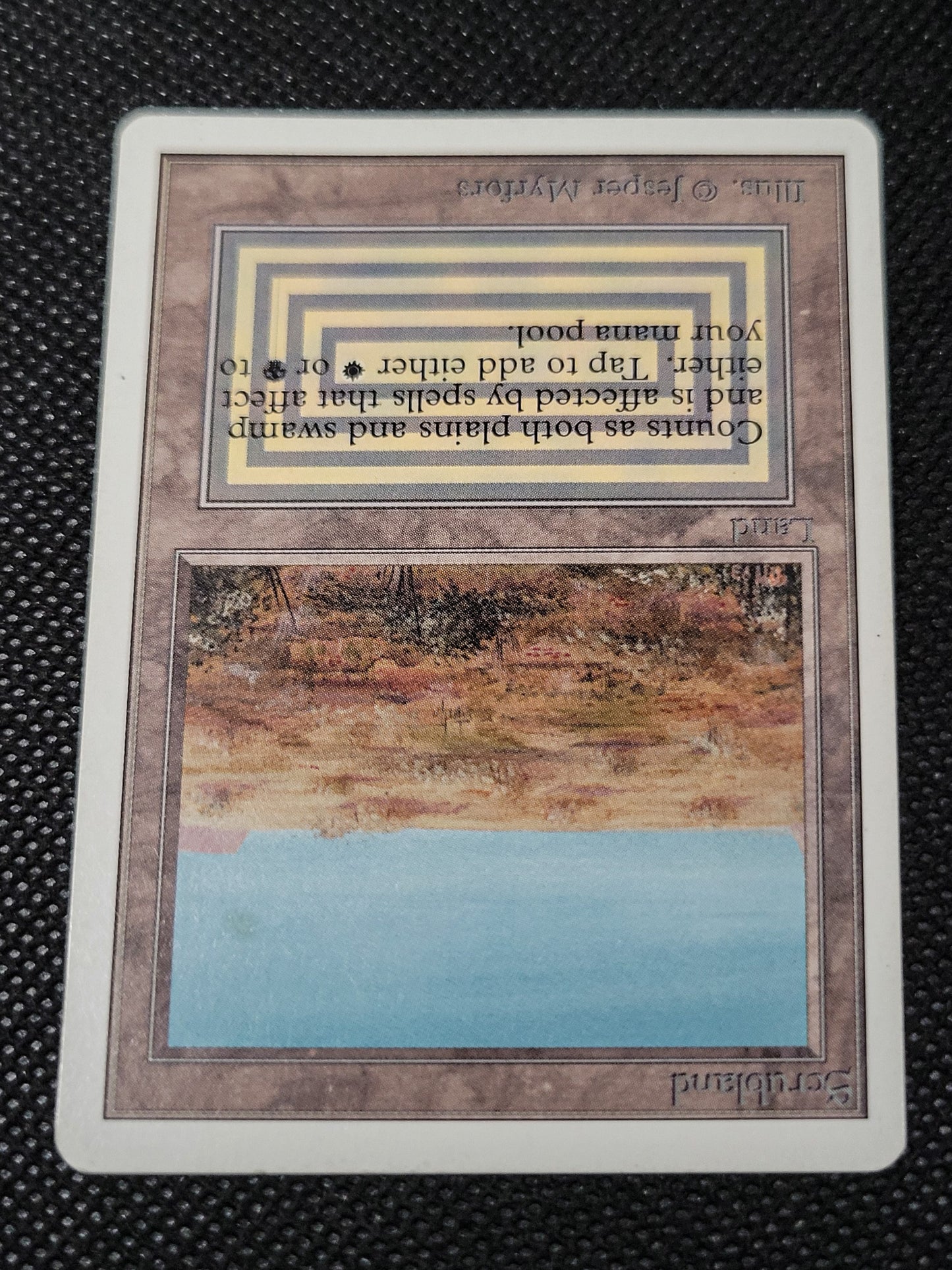 Scrubland — ID 16948