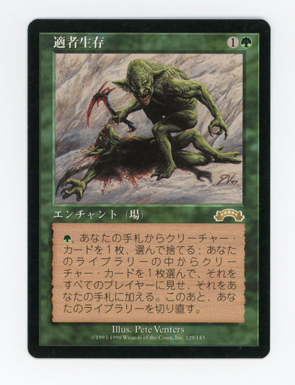 Survival of the Fittest — Japanese — ID 17955