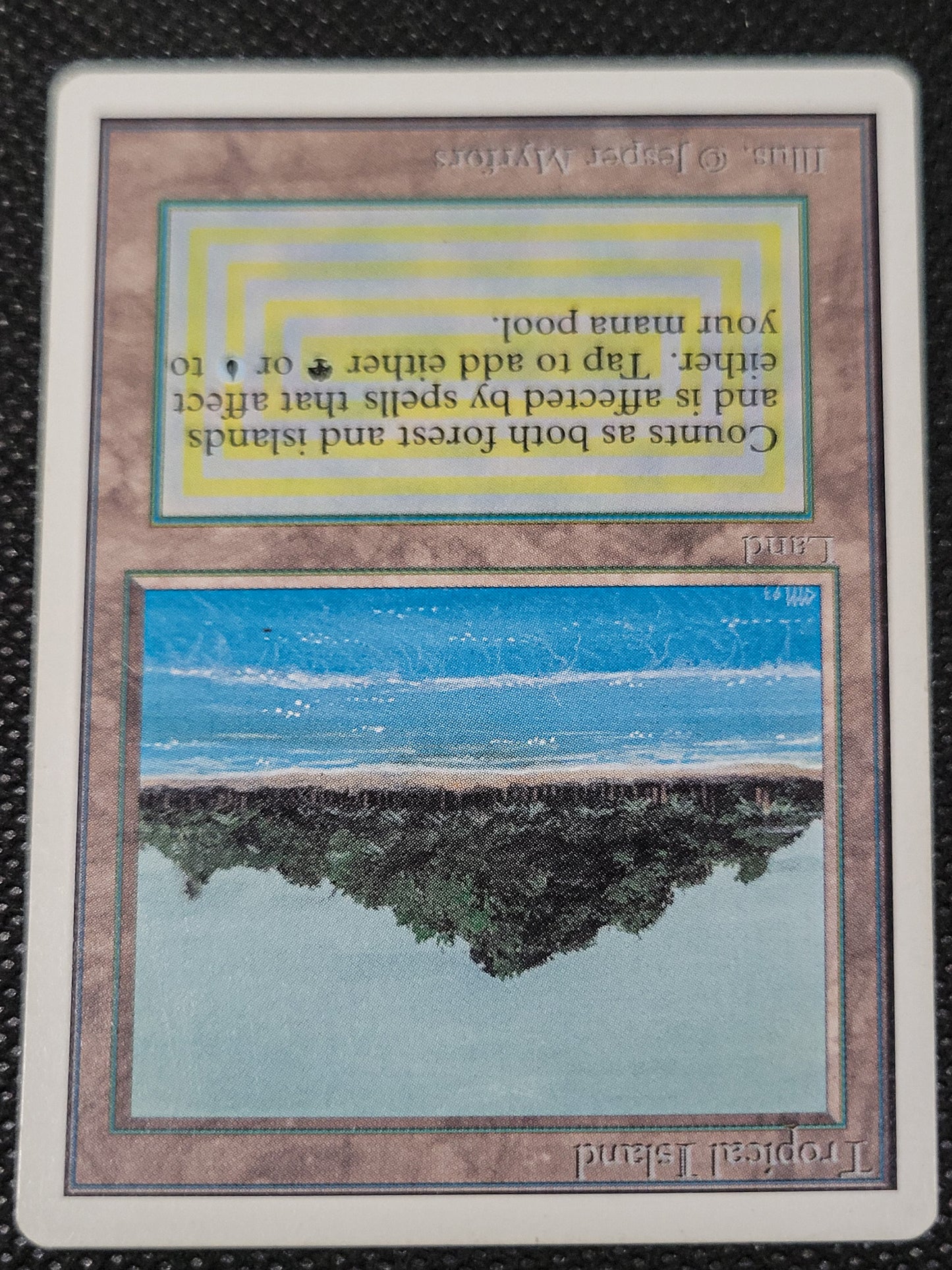 Tropical Island — Damaged — ID 16972