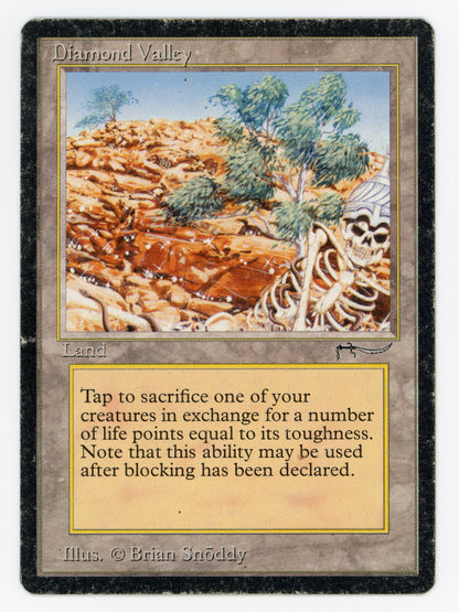 SIN-SCAN-14501