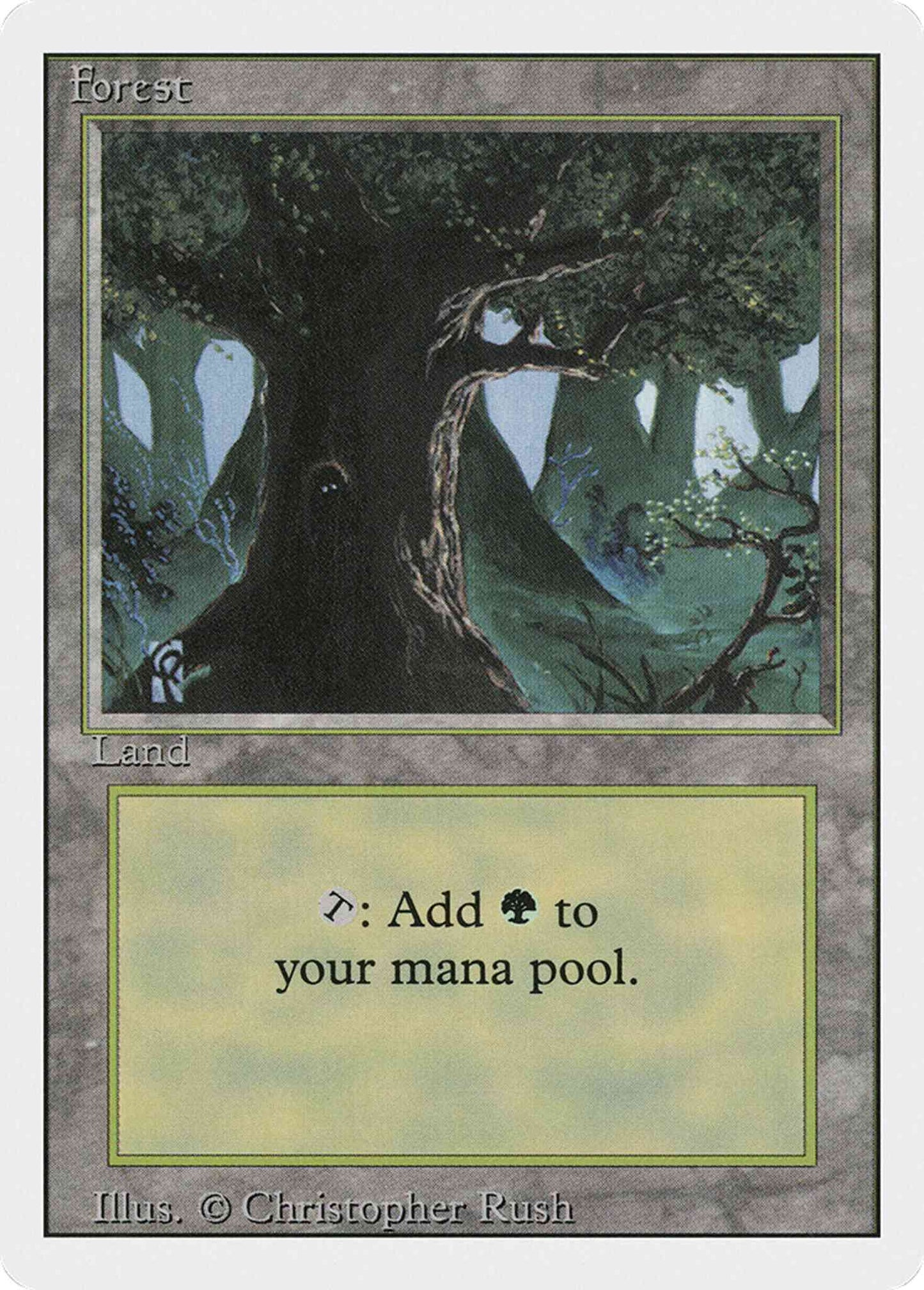 Forest [Animal in Tree] [306] [Revised Edition] [Non-Foil]