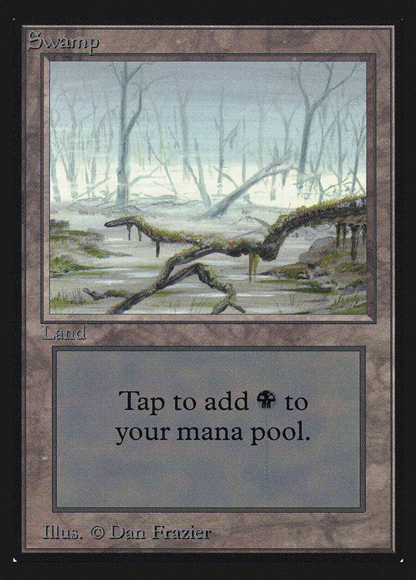 Swamp [Bottom Branch From Right] [294] [Intl Collectors Edition] [Non-Foil]