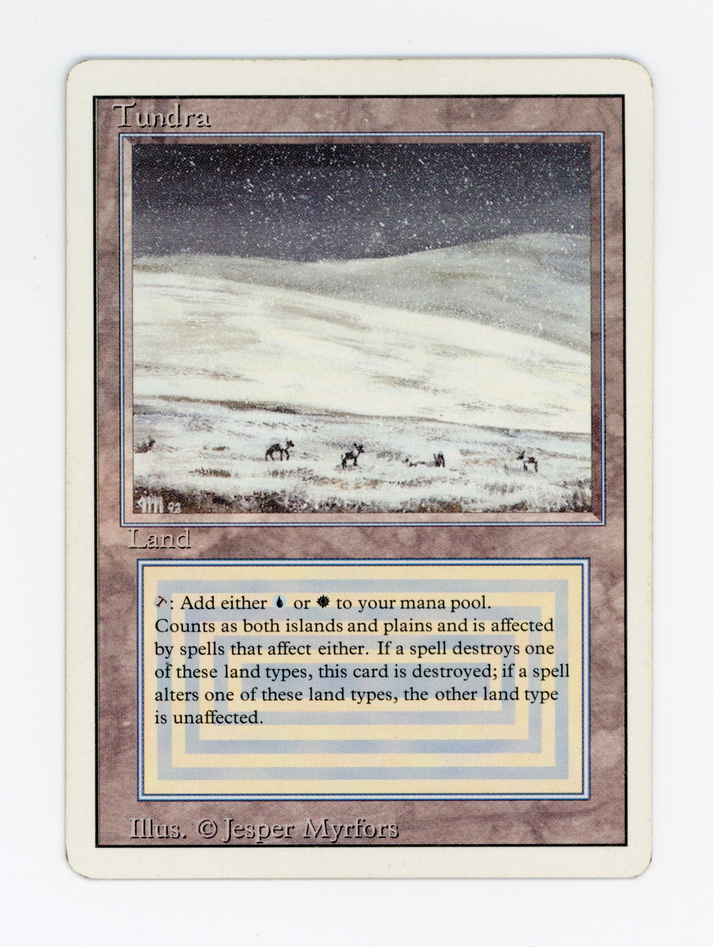Tundra — ID 19912