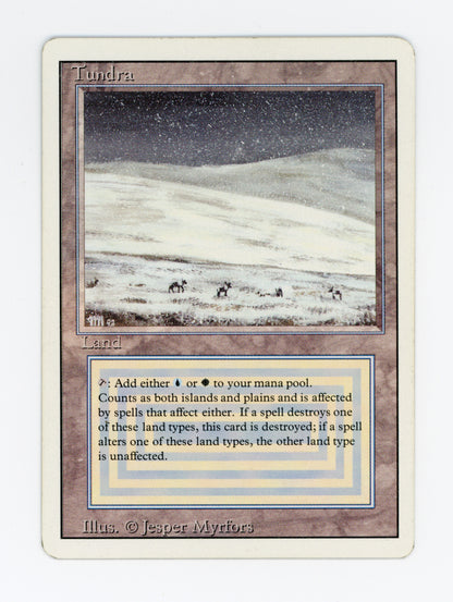 Tundra — ID 19912