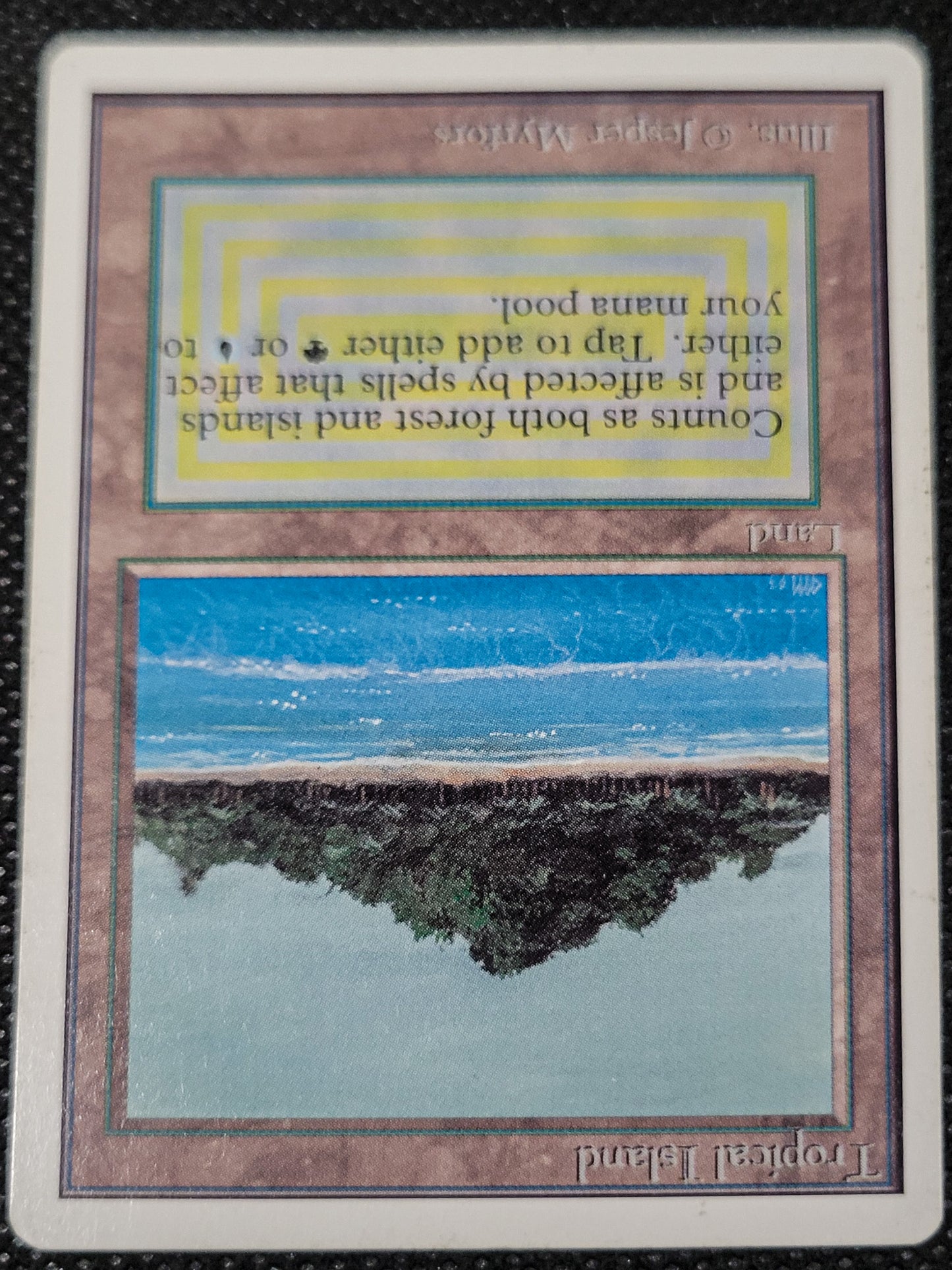 Tropical Island — ID 16971