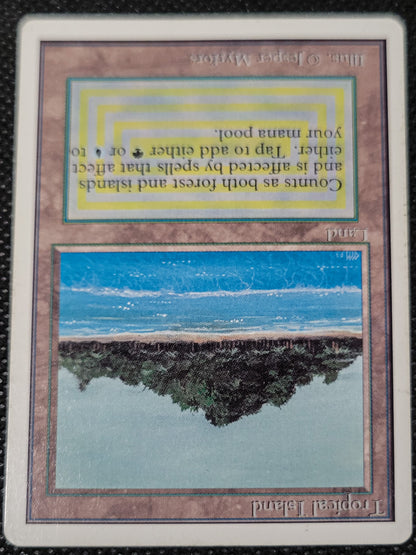 Tropical Island — ID 16971