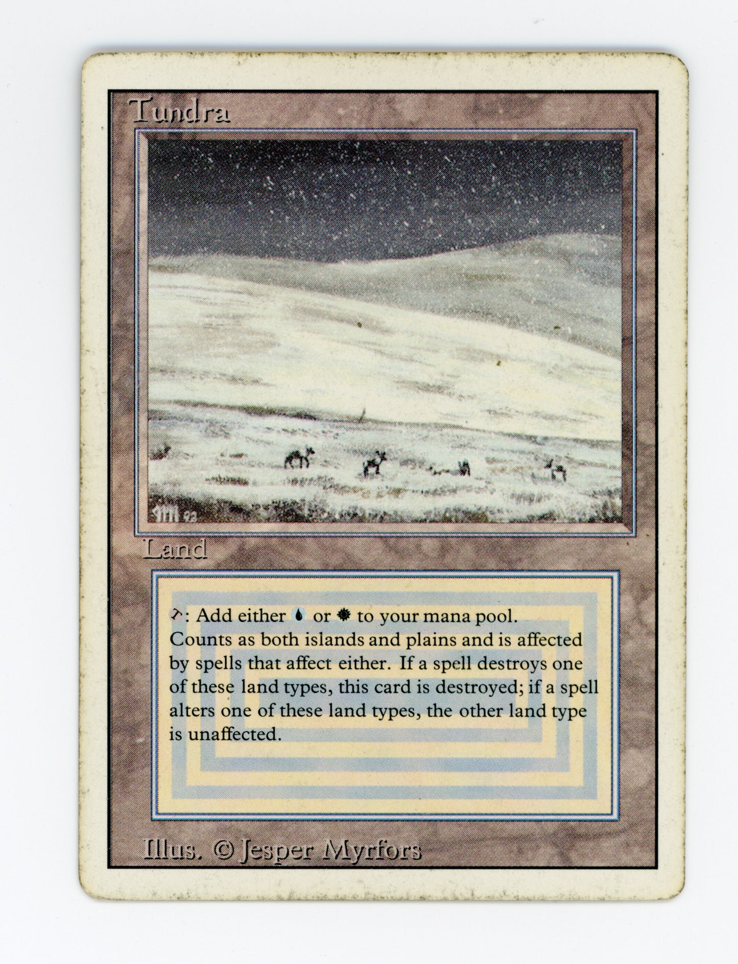 Tundra — ID 19371