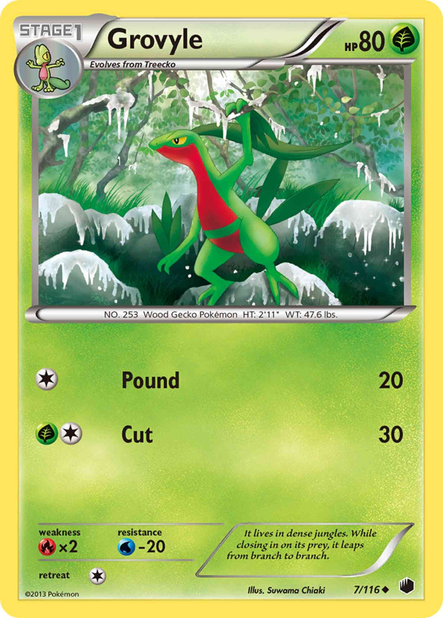 Grovyle - 7/116 - Uncommon [bw9-7] [Reverse Holo]