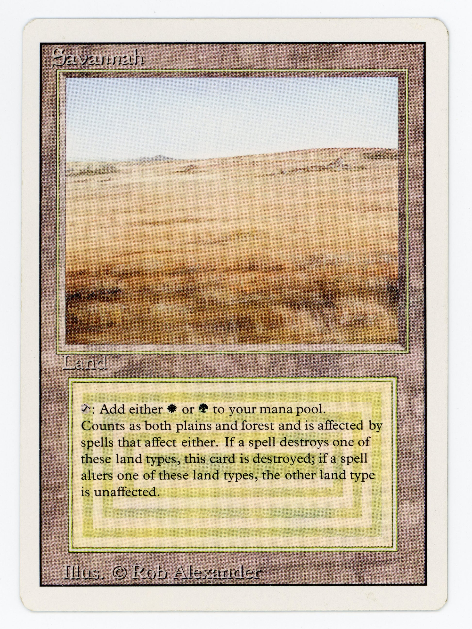SIN-SCAN-15370