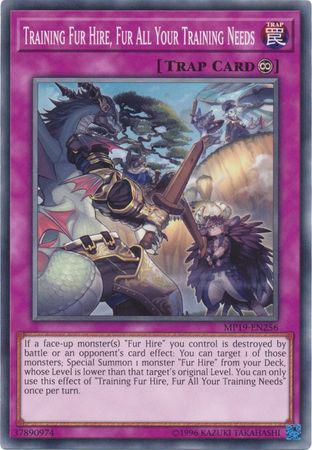 Training Fur Hire, Fur All Your Training Needs - MP19-EN256 - Common - Unlimited