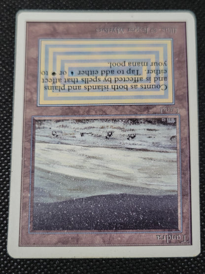Tundra — ID 16974