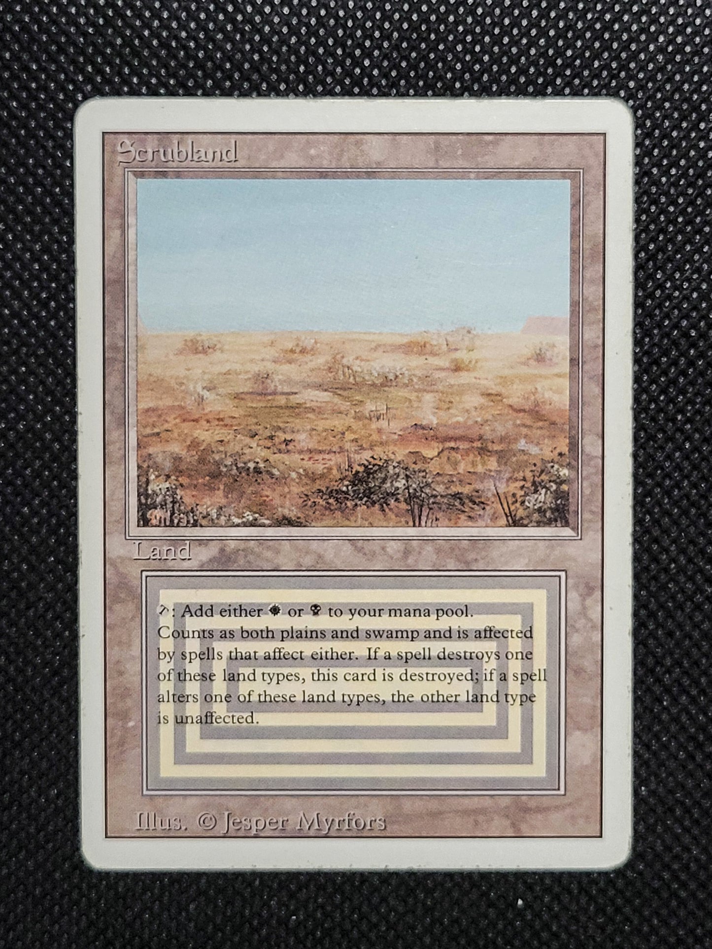 Scrubland — ID 16946